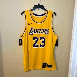 Nike Dri-Fit LeBron James Lakers Jersey (Mens XL)